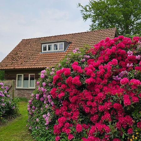 Holiday Home Countryside, Langbroek / ドールン エクステリア 写真