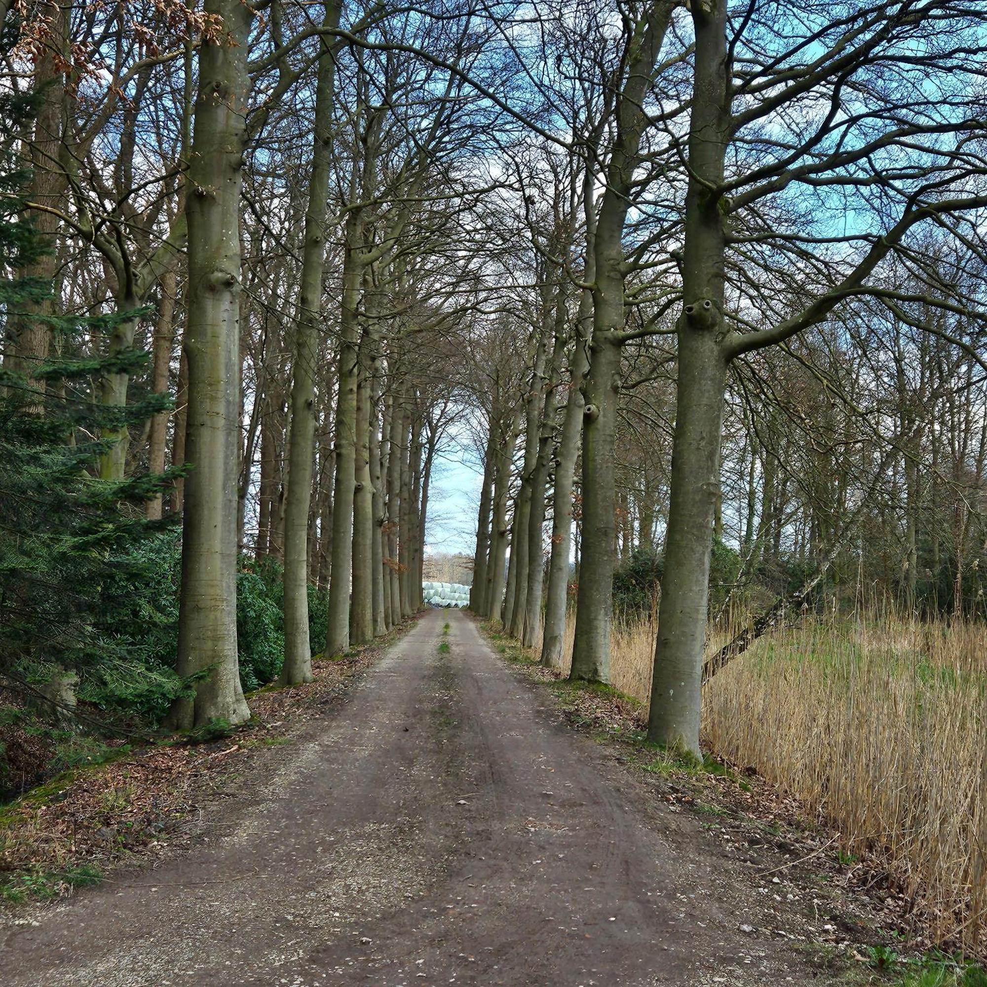 Holiday Home Countryside, Langbroek / ドールン エクステリア 写真