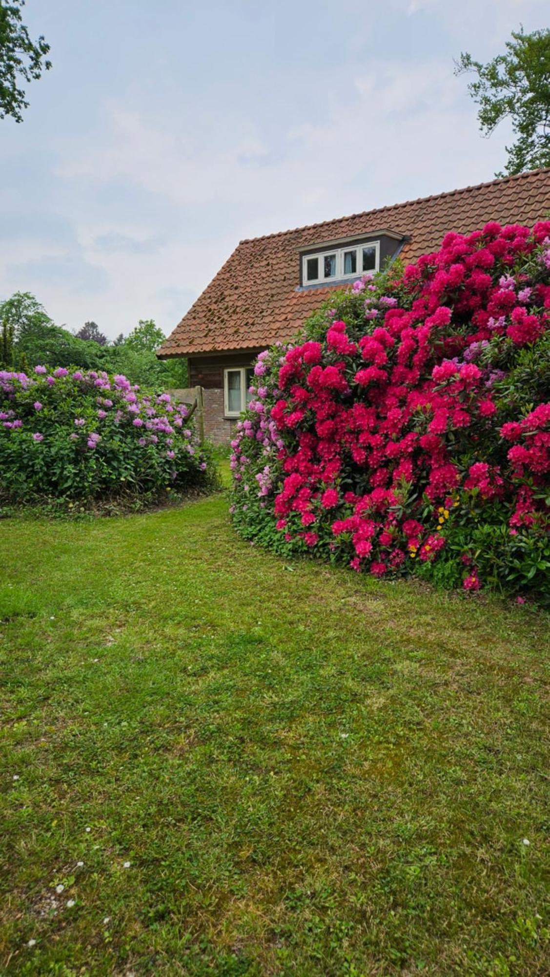 Holiday Home Countryside, Langbroek / ドールン エクステリア 写真